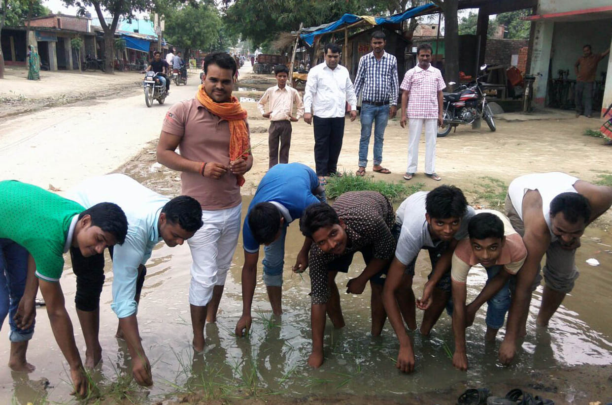 Paddy planted on the road in protest 