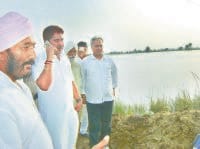 barala, barala says, bjp, inolo, failure, fatehabad, harayana