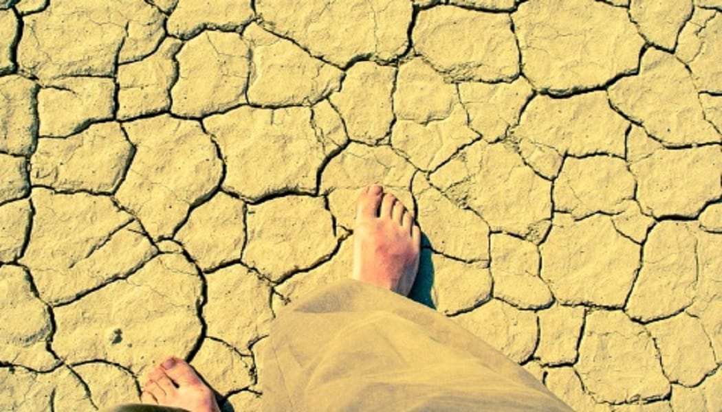 proverbs of great poet Ghagh are guide for farmers.