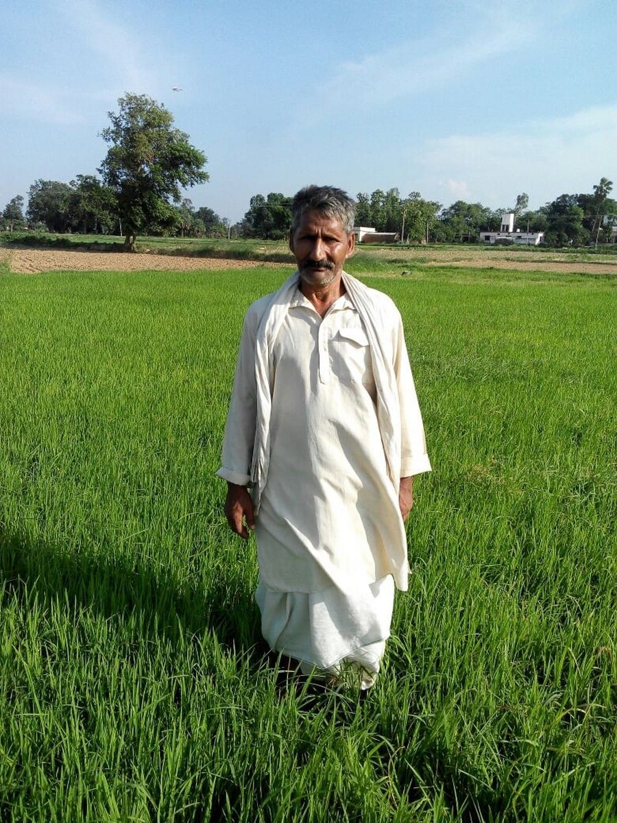 farmers are happy to see carps in field