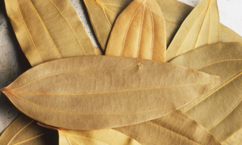 benefits of bay leaf