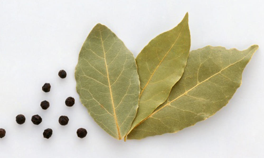 benefits of bay leaf