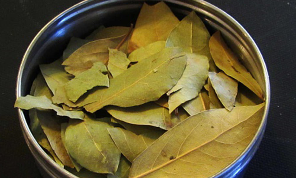 benefits of bay leaf
