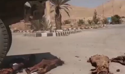 IS release devastating footage showing militants destroying mummies