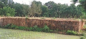 mudda belha ki virasat ka 6