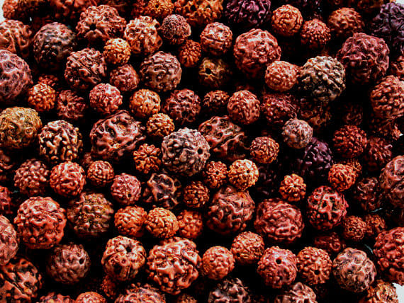 rudraksha mala benefits
