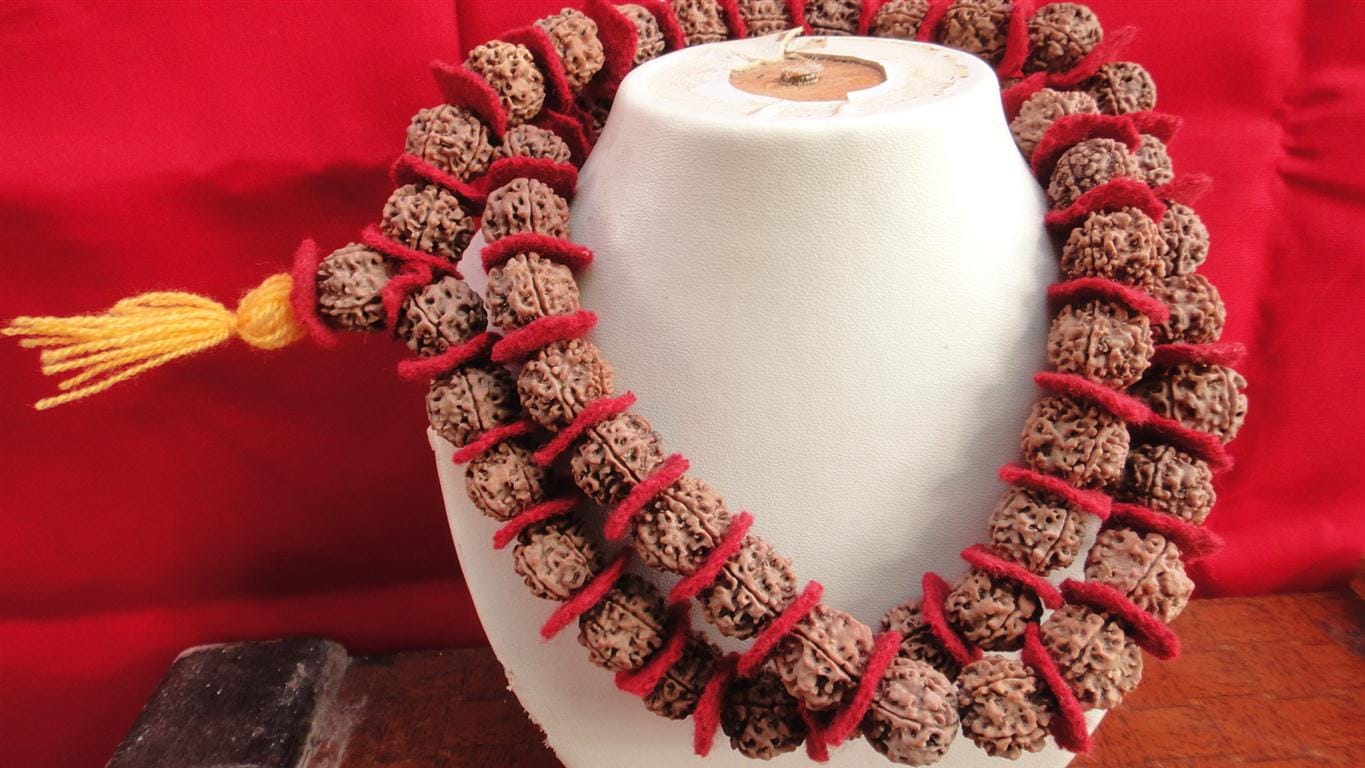 Know who should not wear Rudraksha