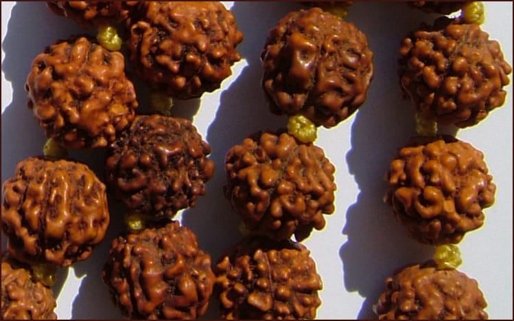 rudraksha mala benefits