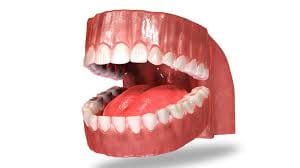 cortical implant facility start in kgmu