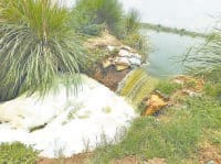 ponds, water tank, problam, city, charkhi dadri