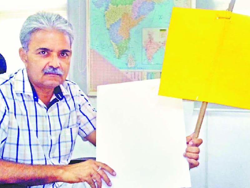 white fly, yellow card, agriculture, jalandhar
