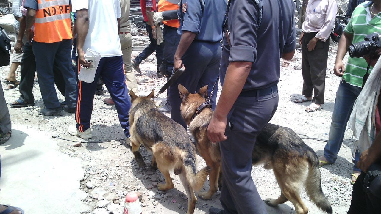 casualty during building demolition in meerut
