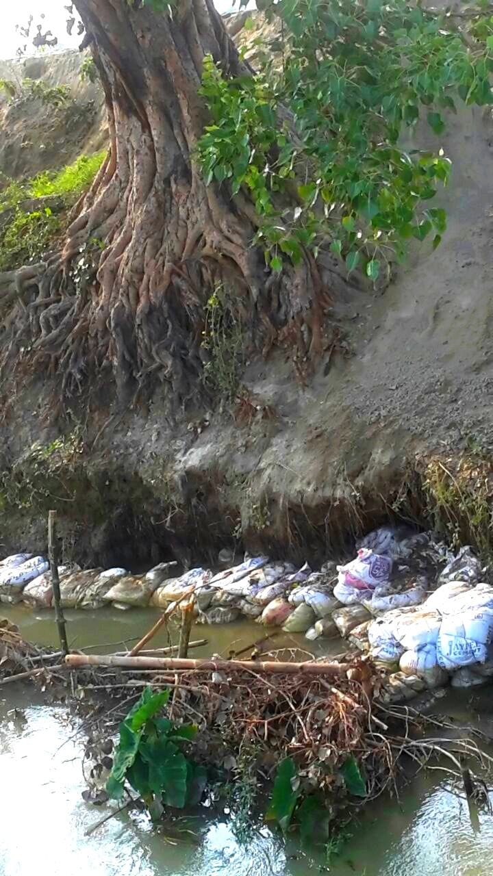  Shnupur - Jokhra bridge threat