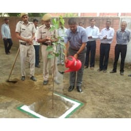 sonipat news, hindi news, plantation, dc