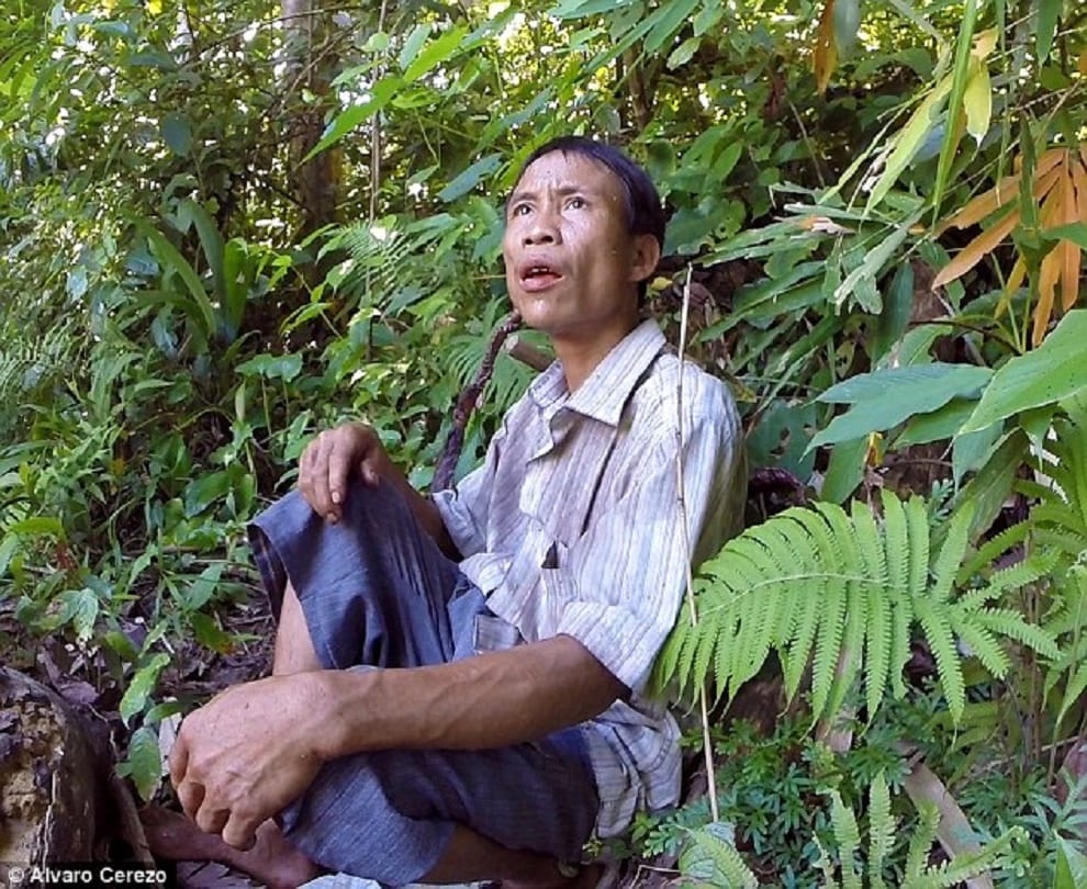 man who spent 41 years living in the jungle 