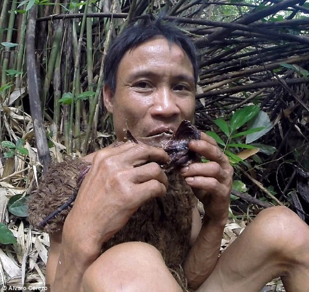 man who spent 41 years living in the jungle 