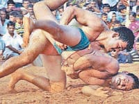 game, wrestling, sport, sultan, ambala