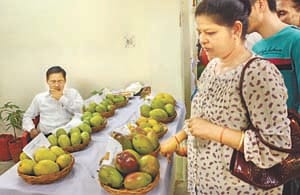 Barsana juice came from the common