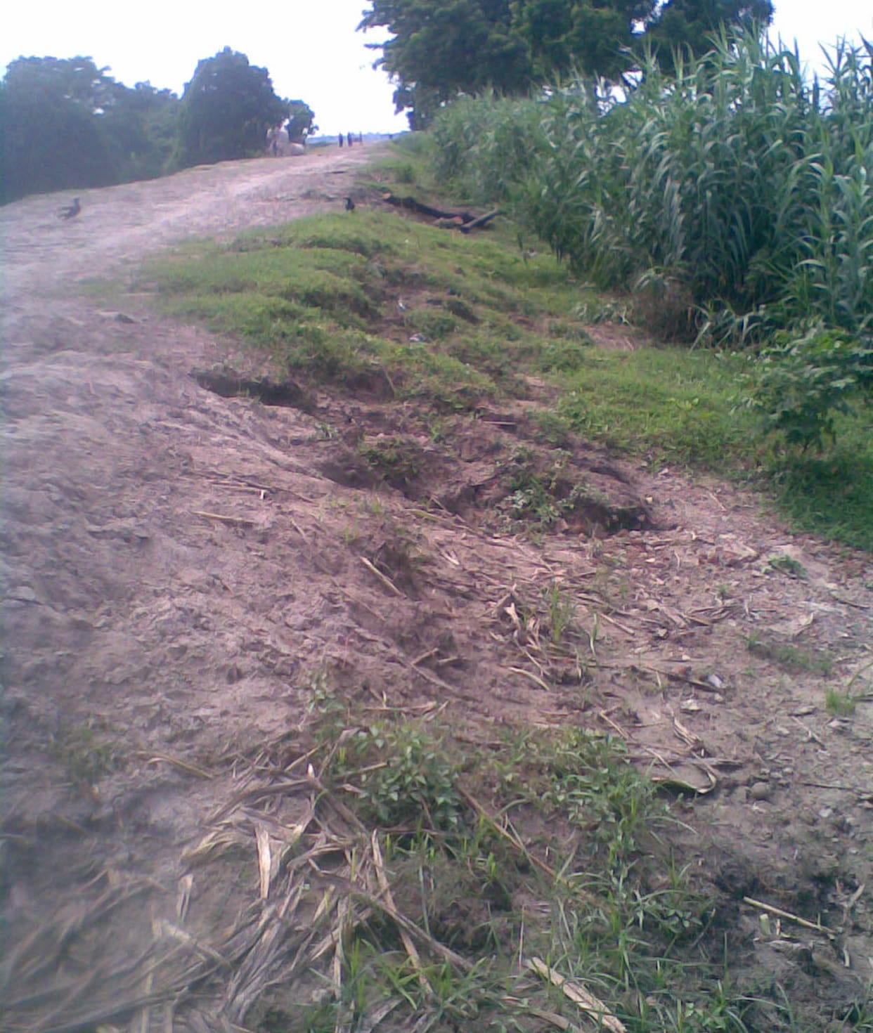 work of flood safty is only oral