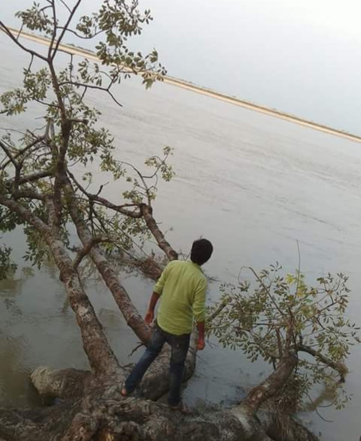 Ghaghra water lavel increased in 165 village