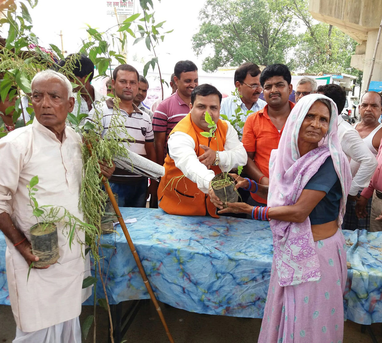 Greening pledged to