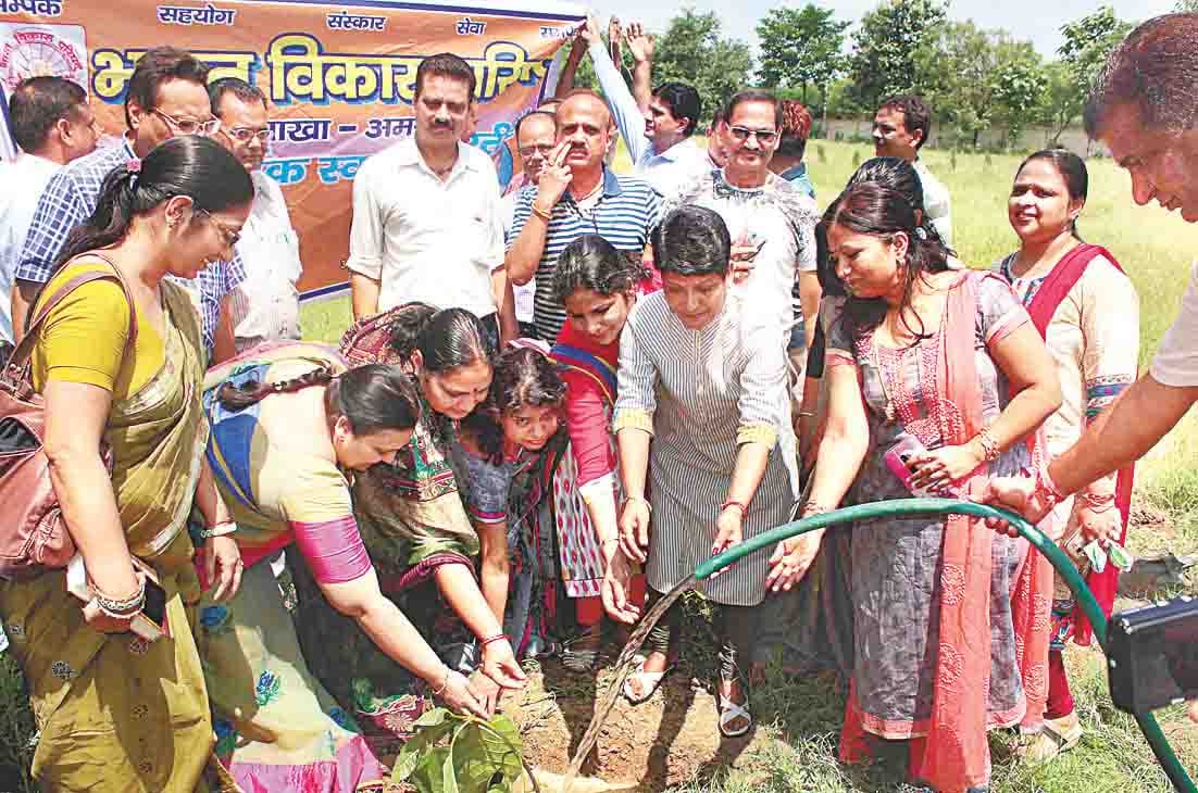 plantation must