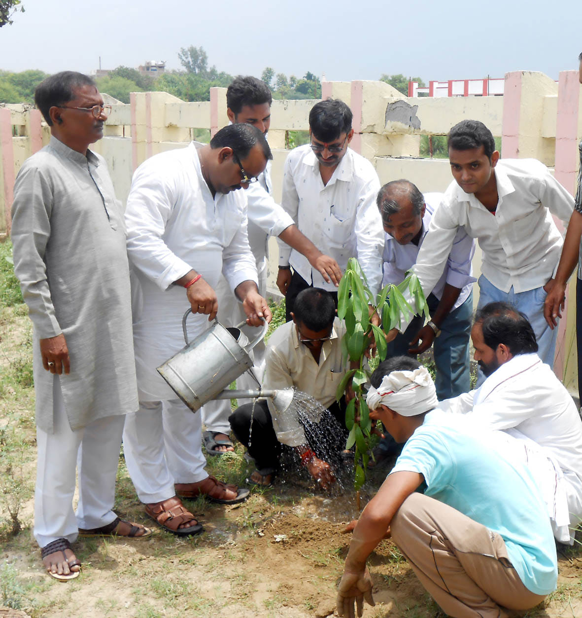 Today, five and a half million trees will