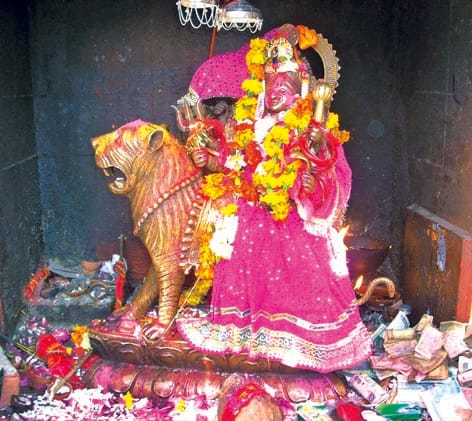 60 Thousand Pilgrims visit Maa purnagiri dham on New Year 2019