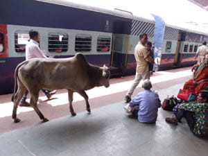 railway station adarsh