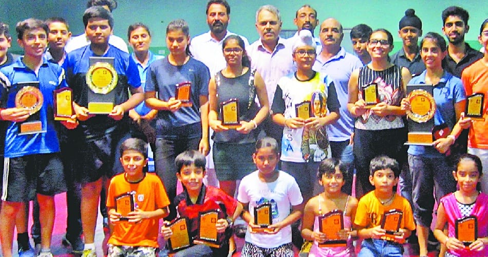 sports, table tennis, table tennis tournament, chandigarh table tennis association, chandigarh