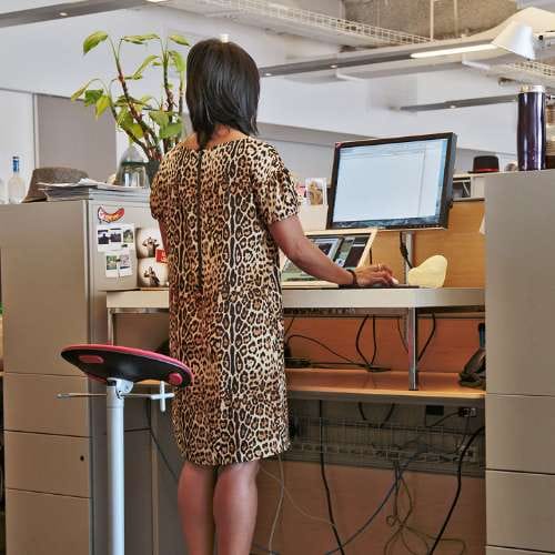 Jobs that involve lots of standing causes varicose veins ulcers
