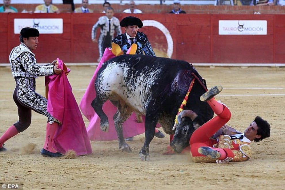 víctor barrio 29 was gored to death in the ring  