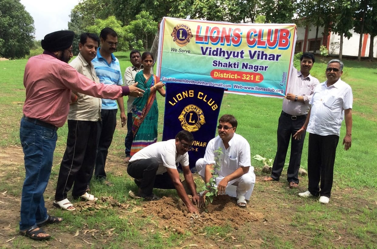 274 will take place today, 30 million trees
