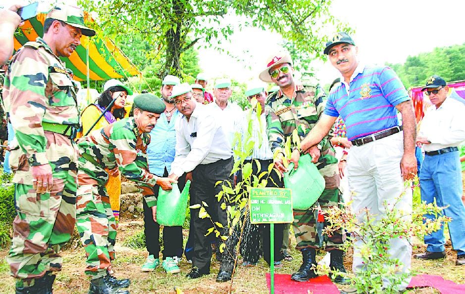Army battalion environment planted over a million trees