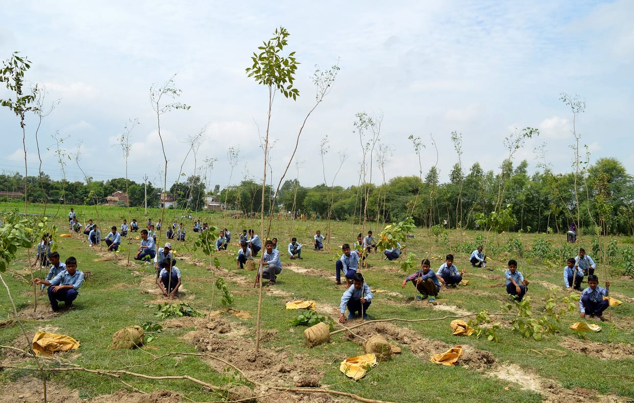 The planting of over nine million plants show enthusiasm