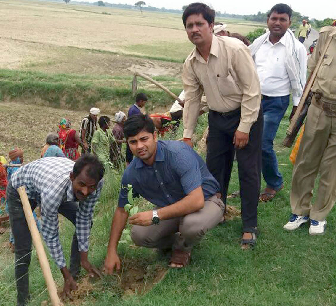 144 sites in the district six lakh 85 thousand saplings were