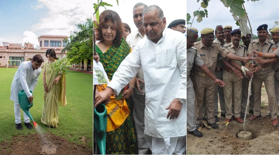 cm akhilesh plants sapling in lucknow