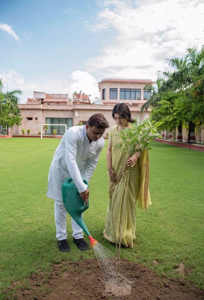 cm akhilesh plants sapling in lucknow