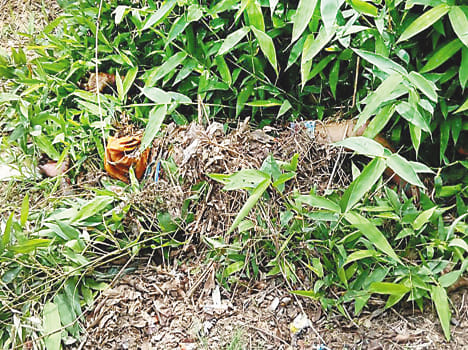 murder after rape