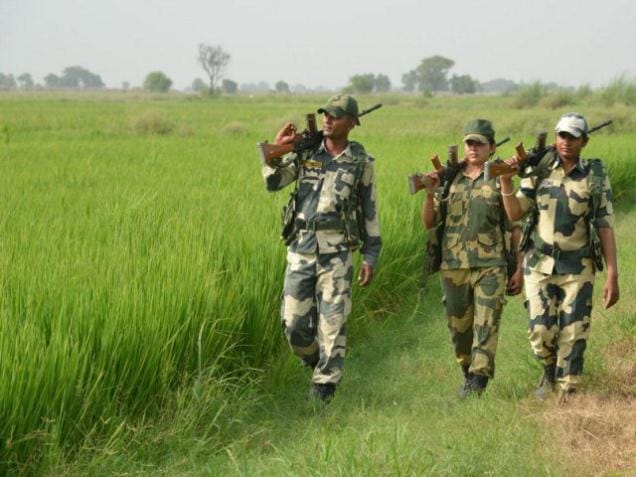 chandigarh, bsf recruitment on 207 posts for 10th passed