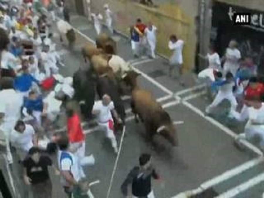 सांडों की दौड़