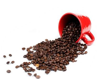 Never store these things in Refrigerator