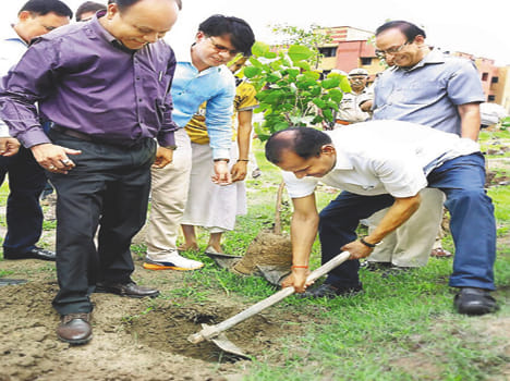 Politicians and officials involved in planting trees