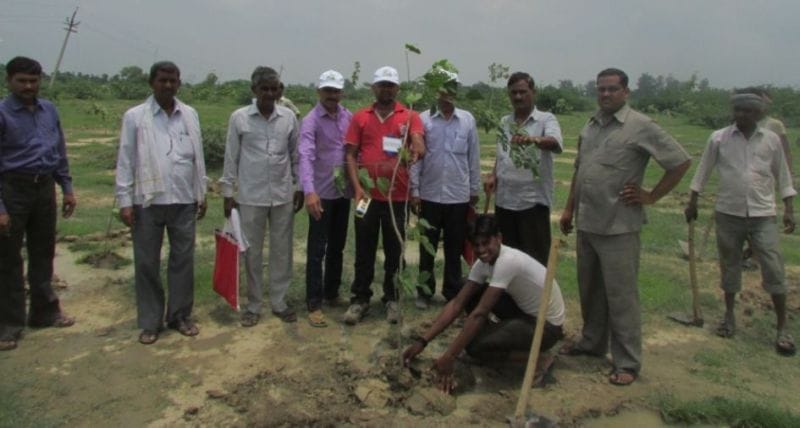 Defeats to beat the 7.69 million trees planted