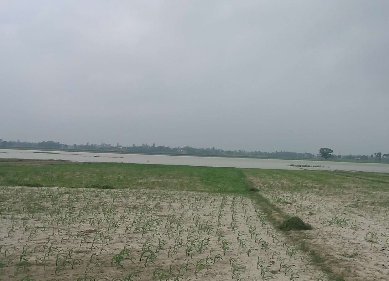 Mau in crop insurance in the state topper
