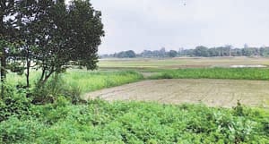 mudda belha ki virasat ka 8
