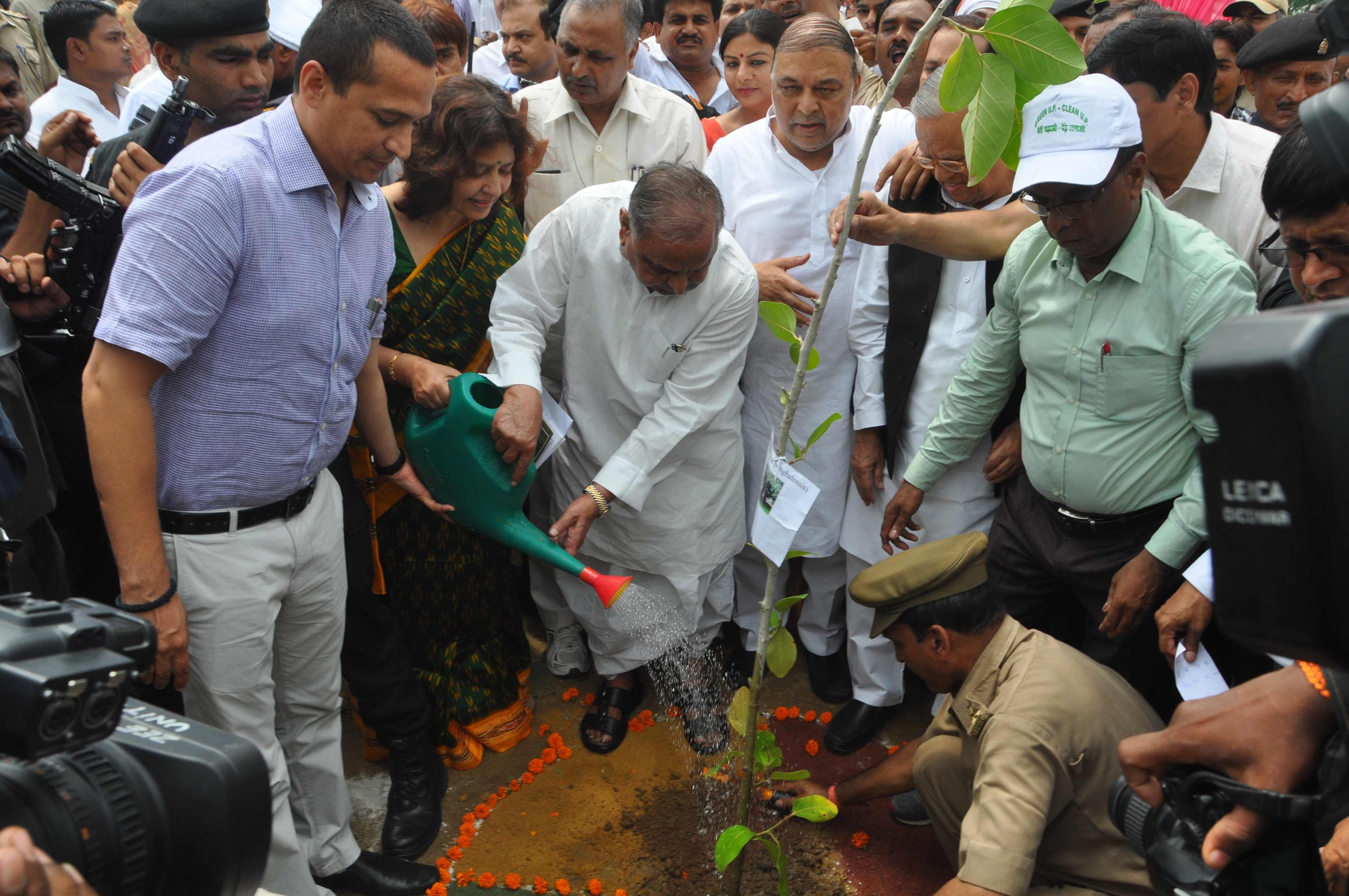 cm akhilesh plants sapling in lucknow