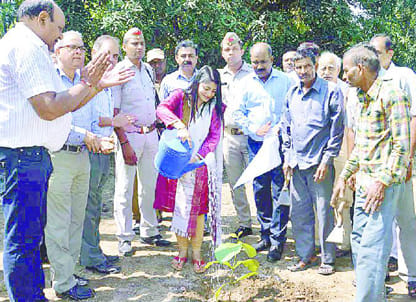 Part of the world record Bijnor