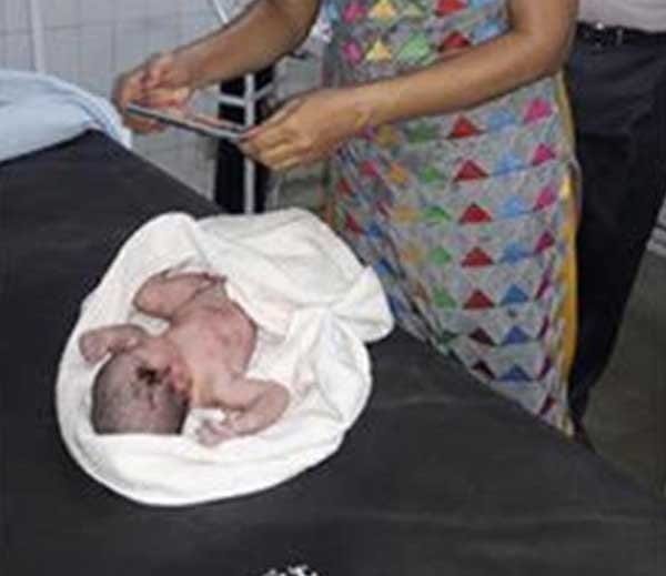new born girl child defeated to death in jalandhar, watch story in photos