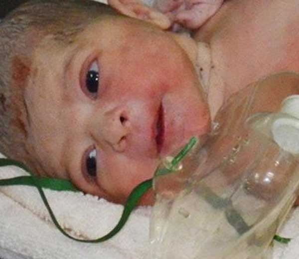new born girl child defeated to death in jalandhar, watch story in photos